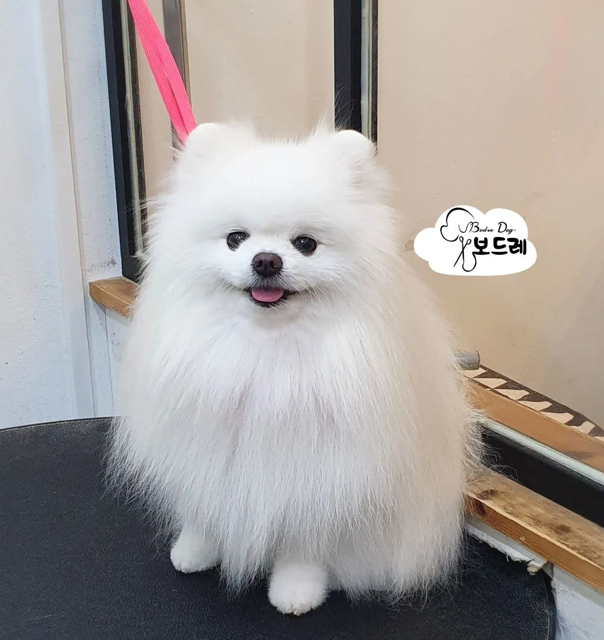 이미지 5