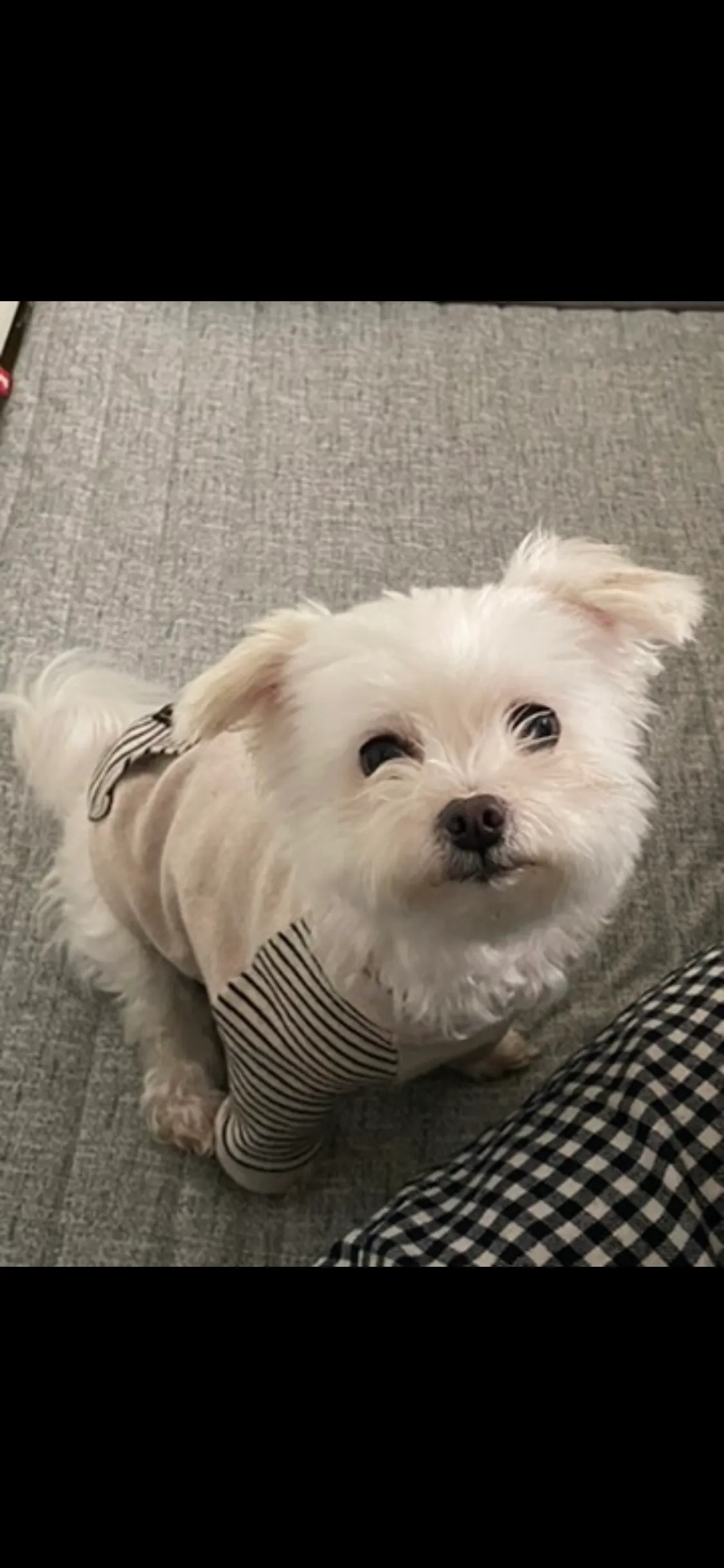 이미지 3