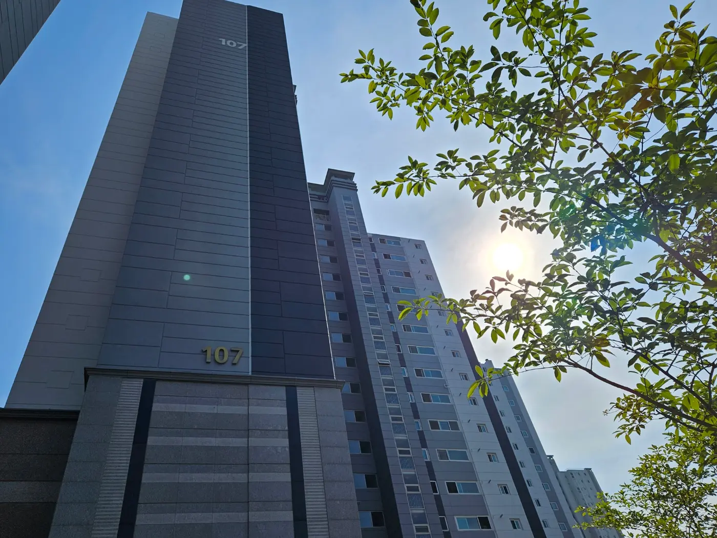 이미지 4