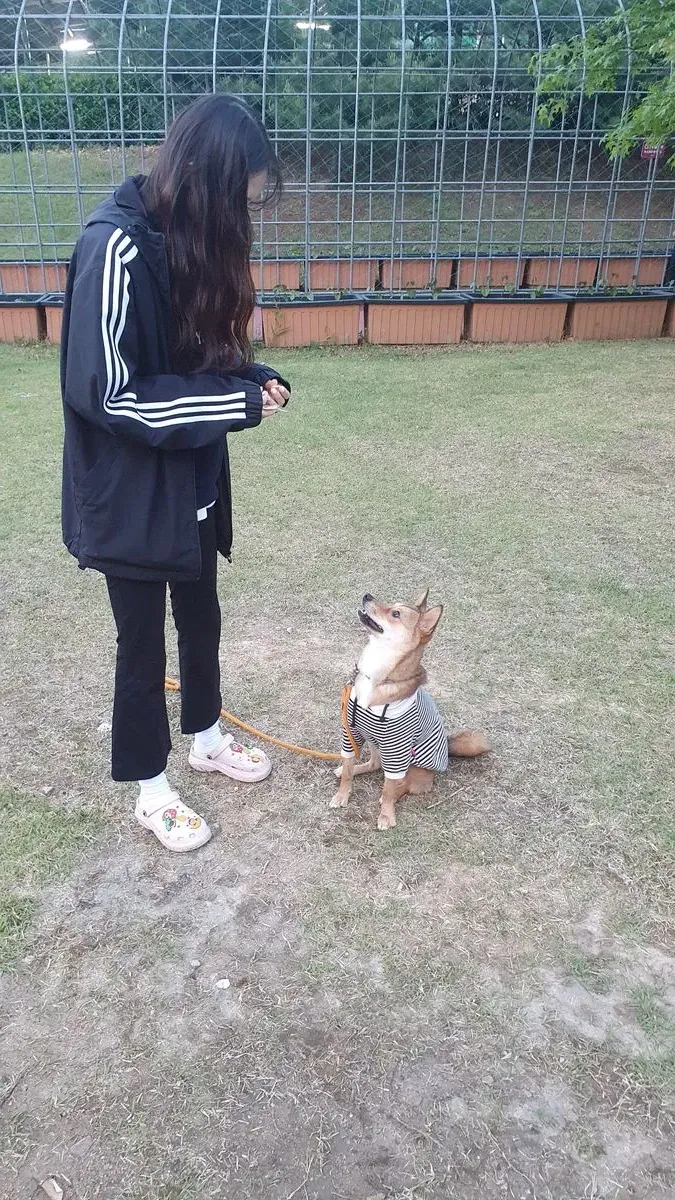 이미지 3