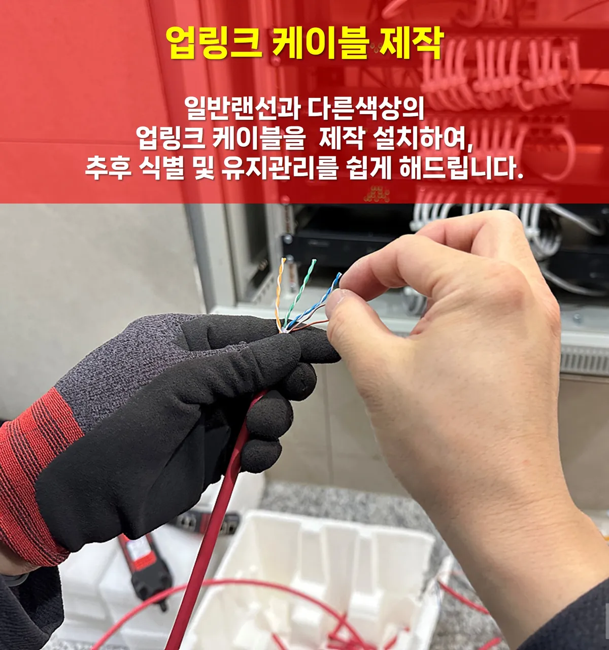 이미지 10