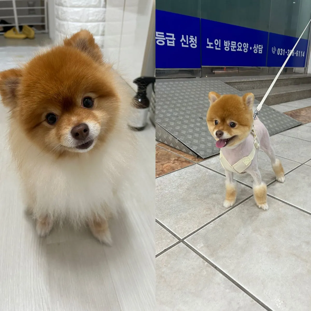 이미지 10