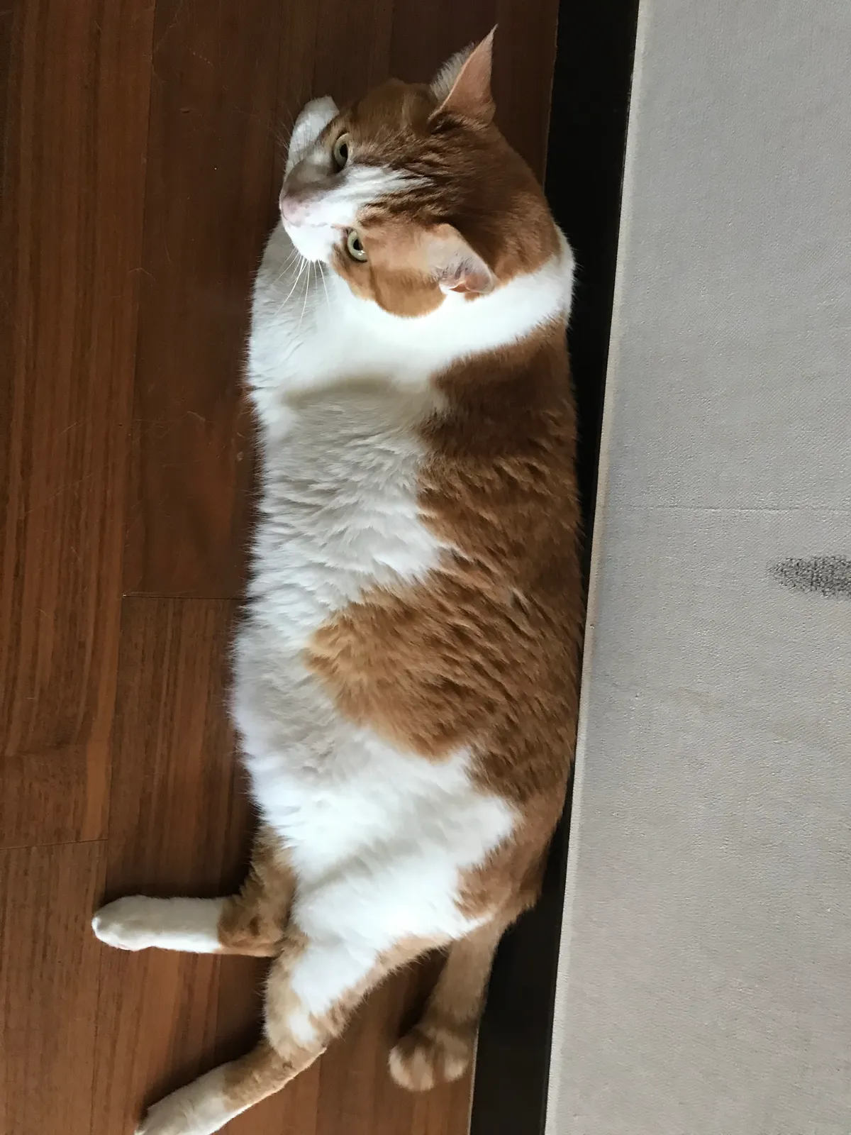 이미지 9