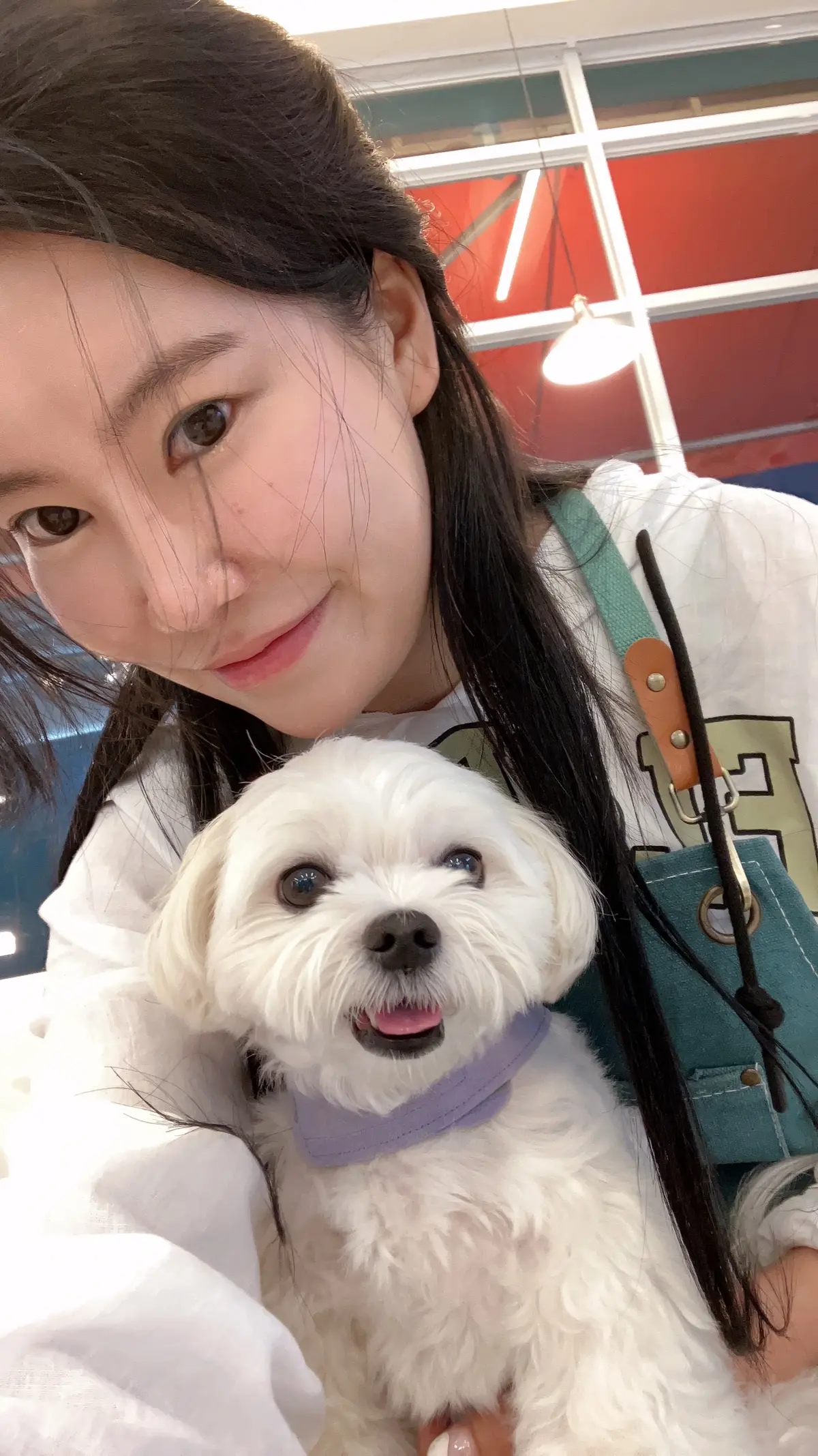 이미지 4