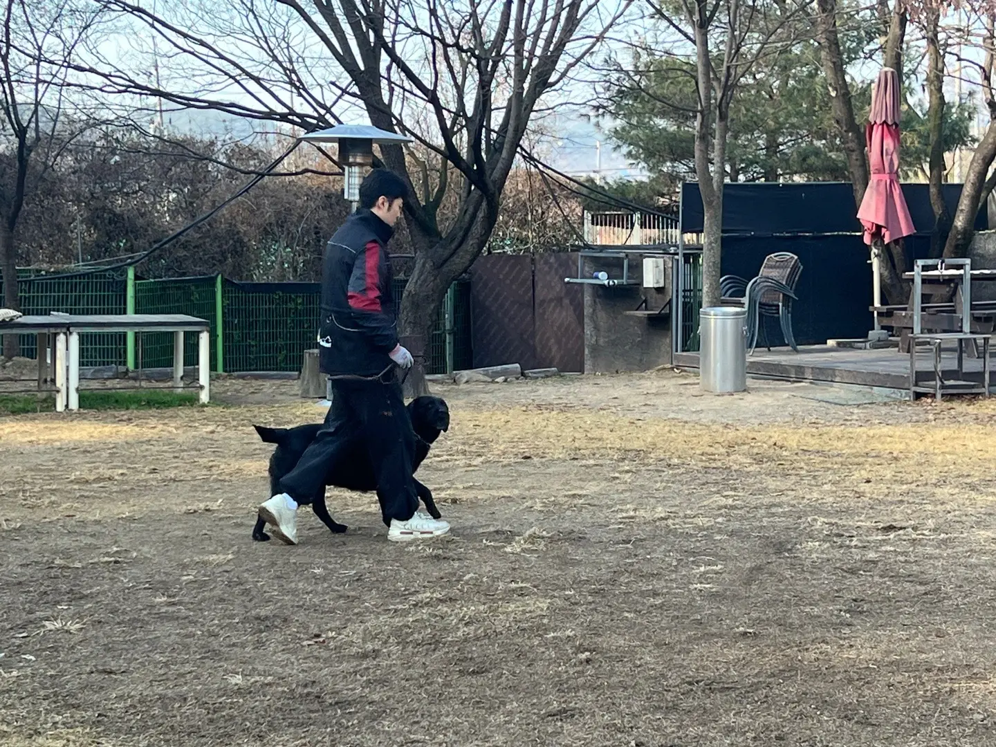 이미지 8