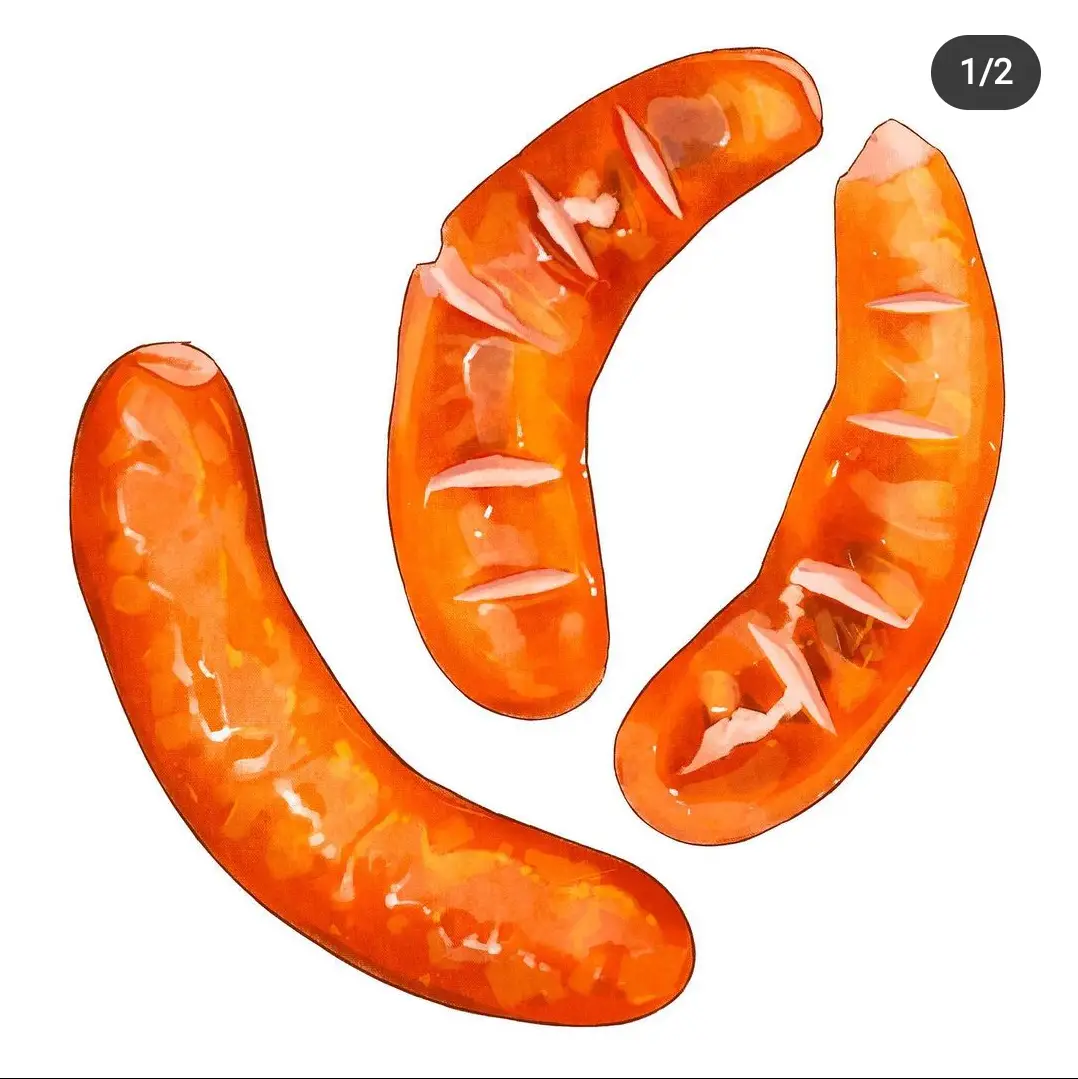 이미지 8