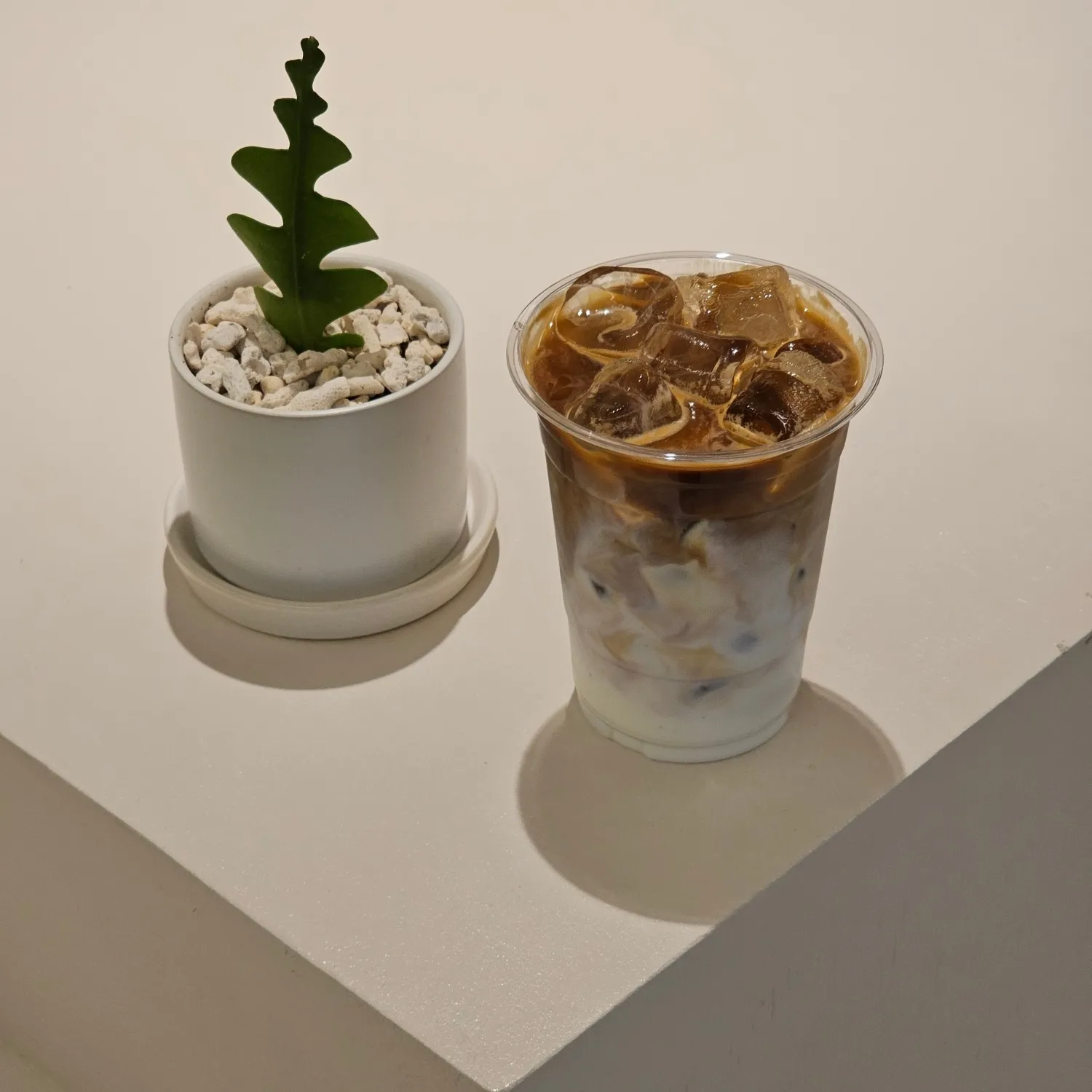 이미지 8