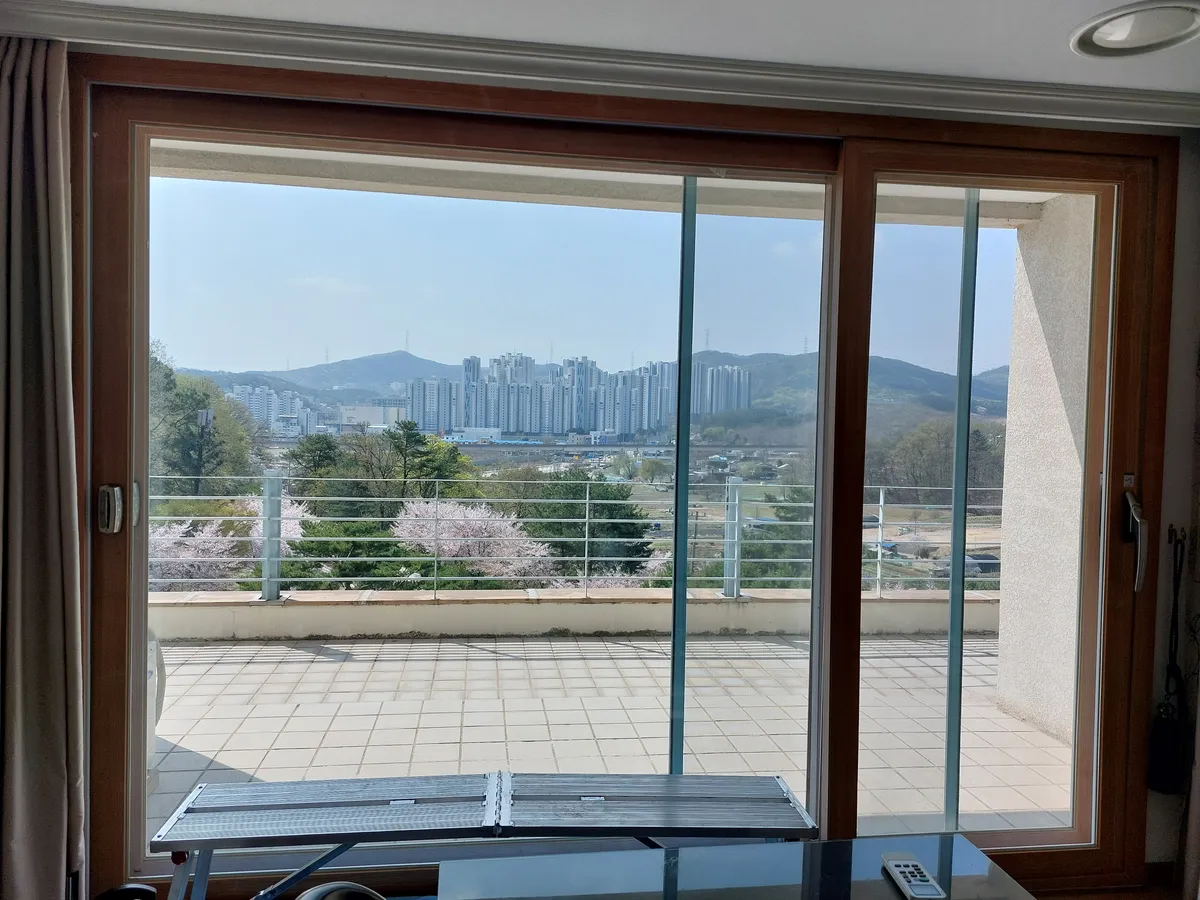 이미지 11
