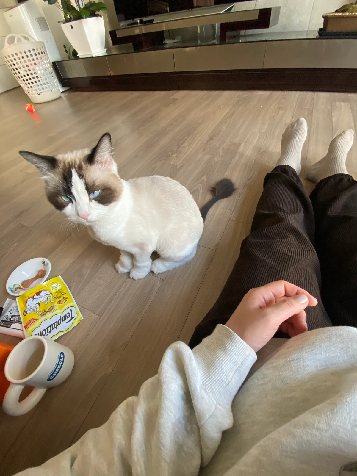 이미지 3