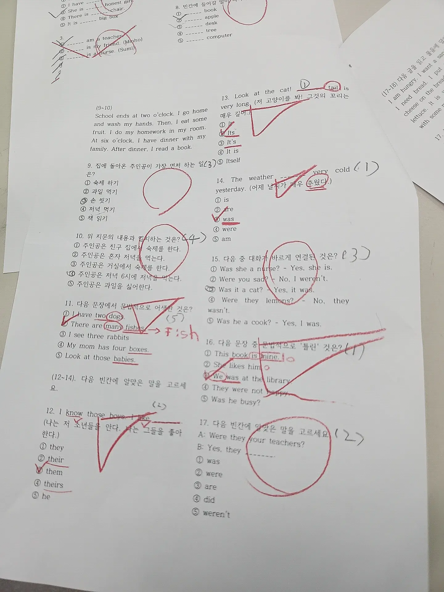 이미지 3