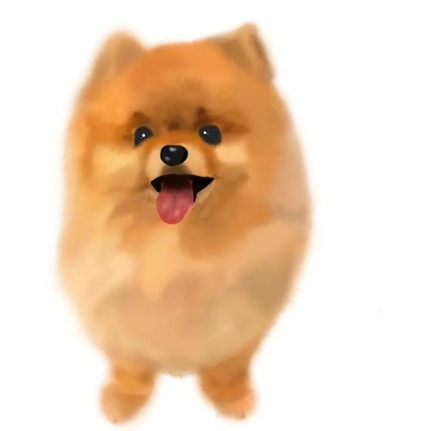 포트폴리오 이미지