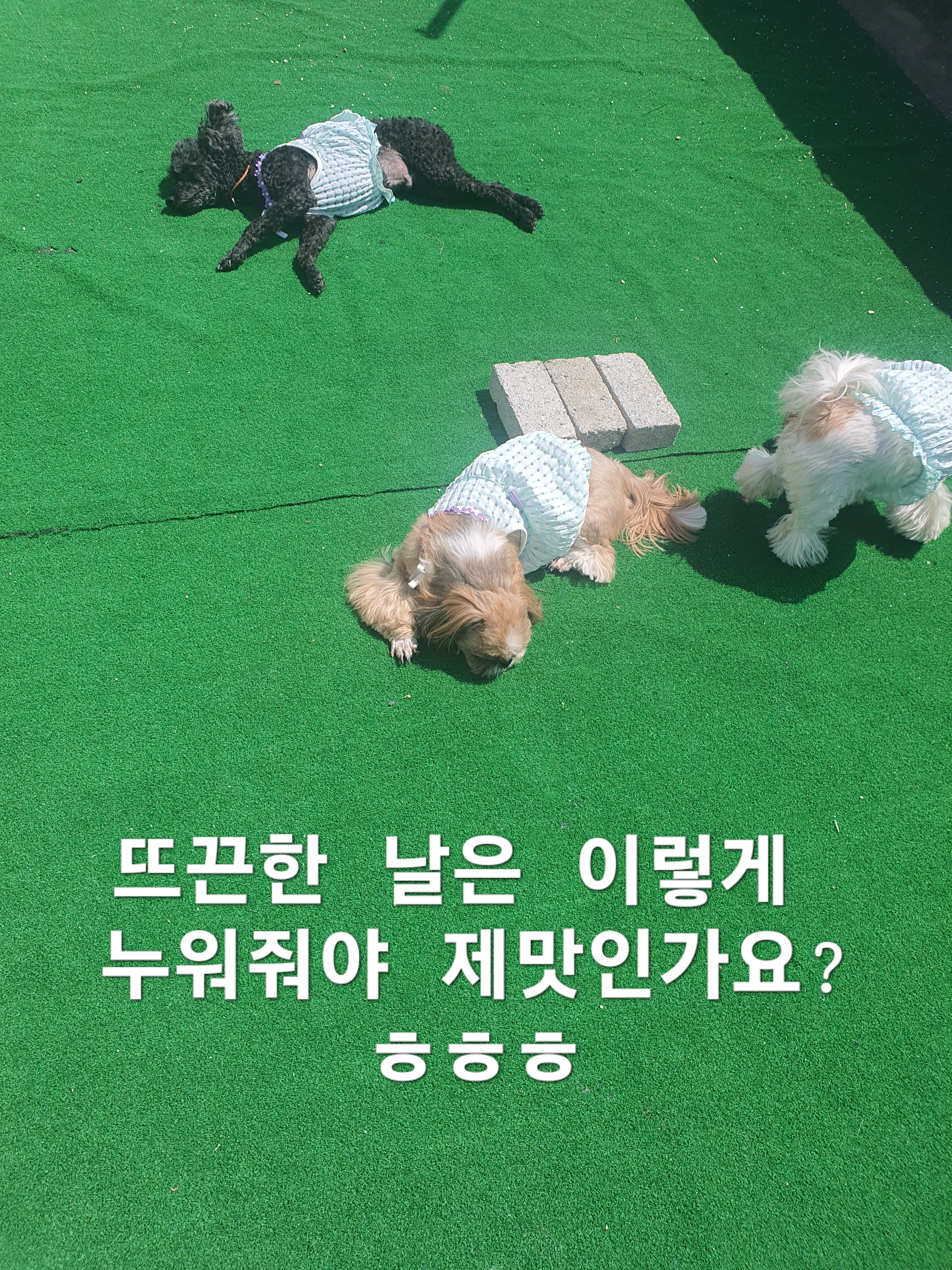 이미지 7
