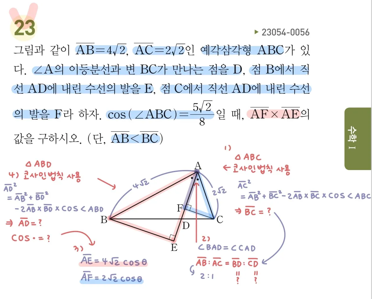 이미지 14