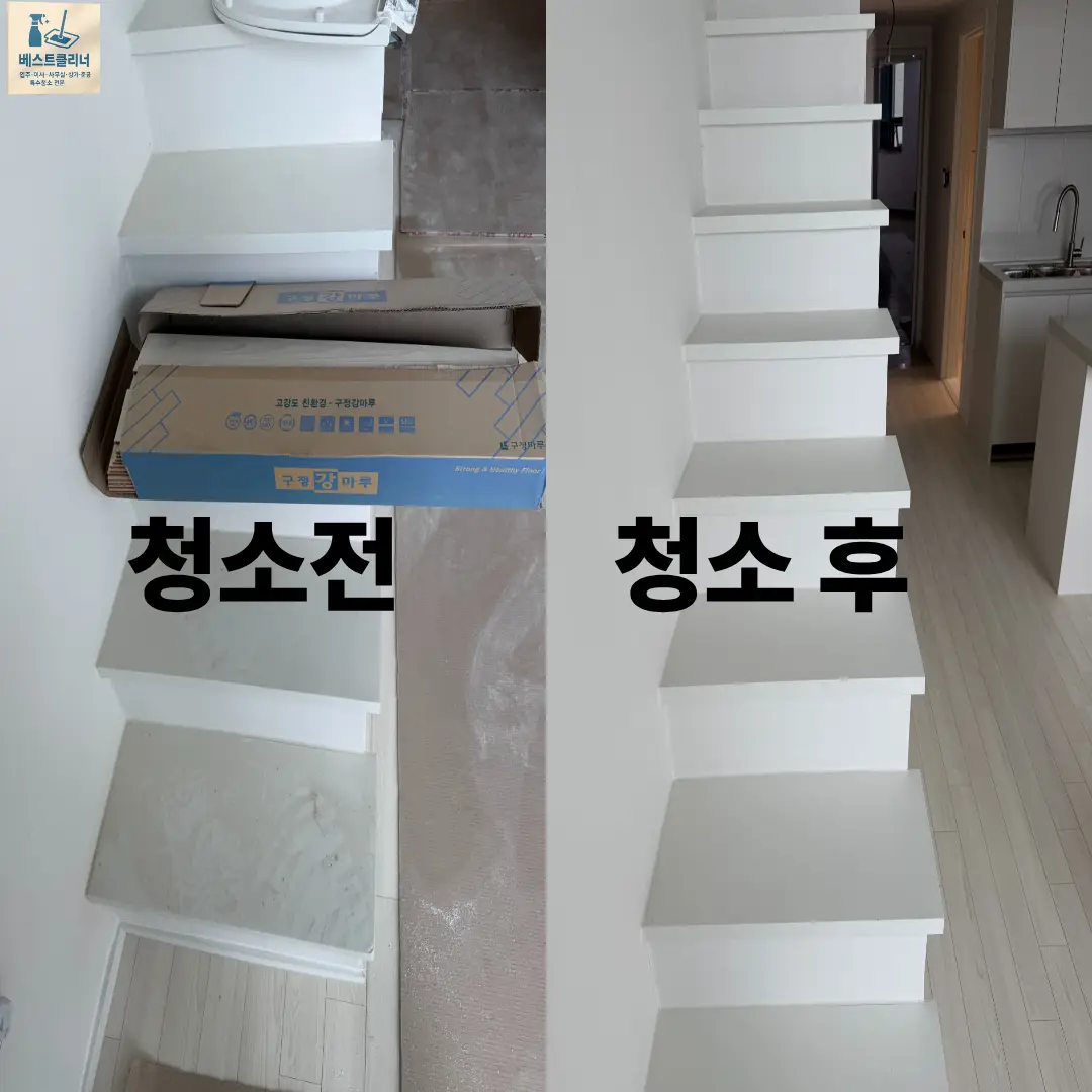 이미지 8