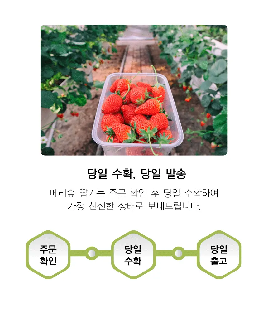 이미지 8