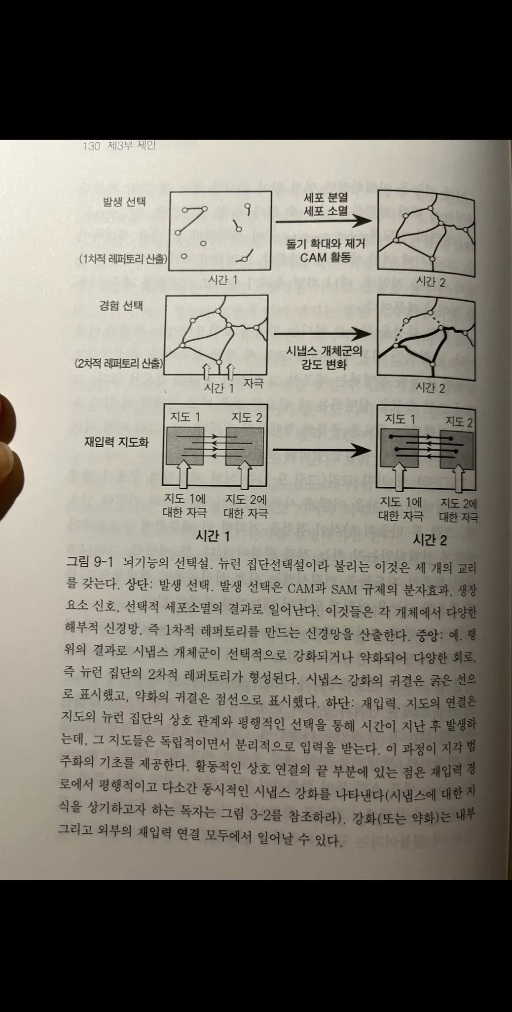 이미지 5
