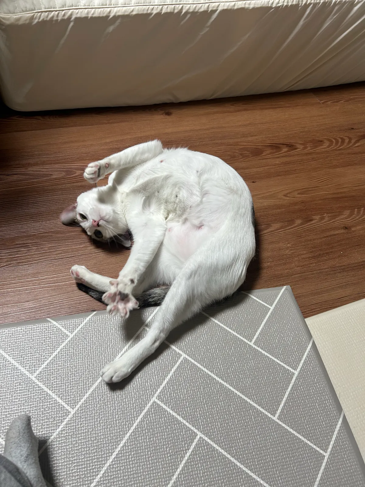 이미지 26
