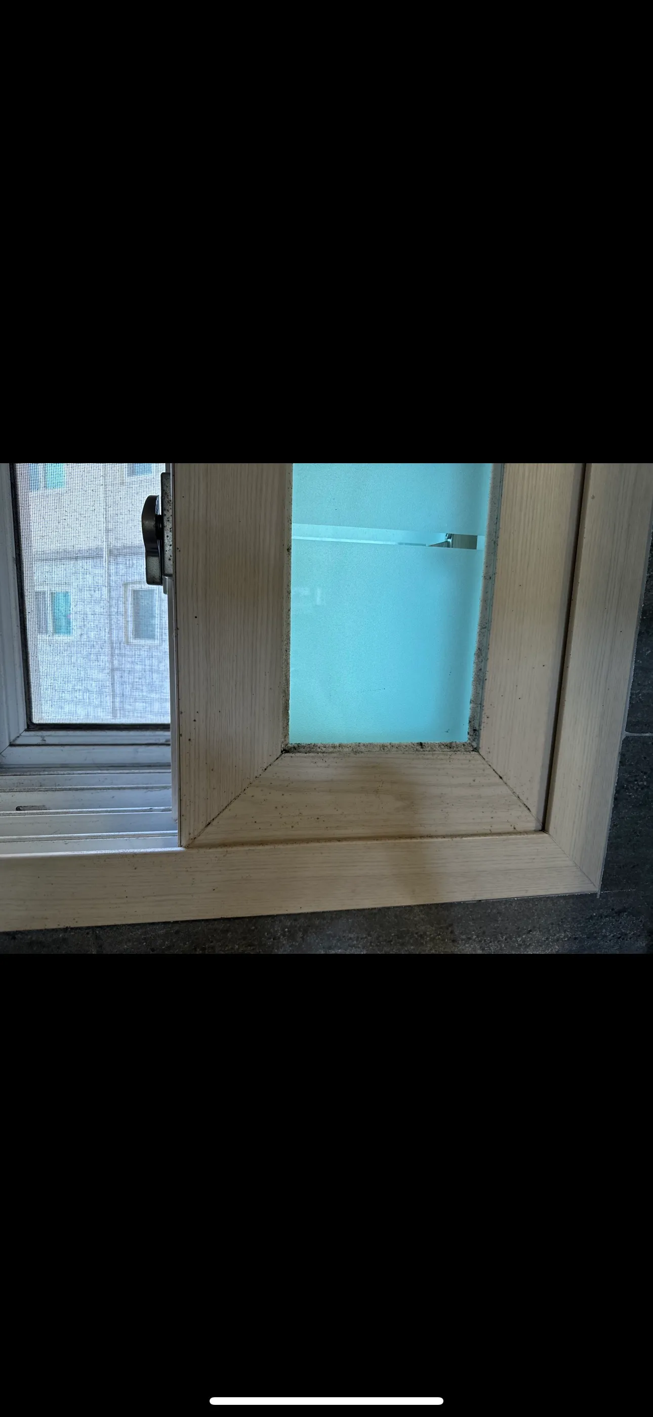 이미지 10