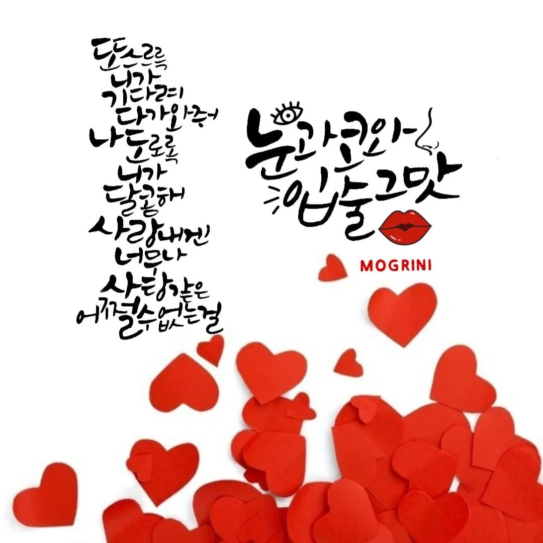 이미지 3
