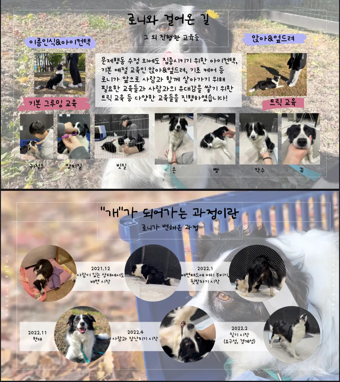 이미지 7