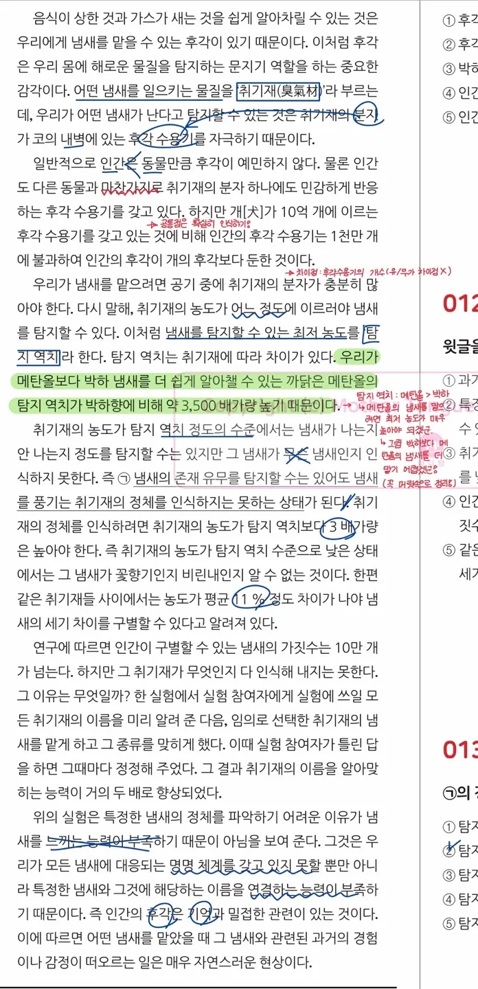 이미지 9
