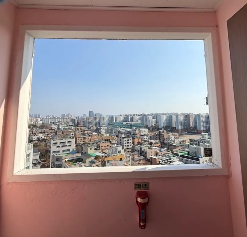 이미지 4