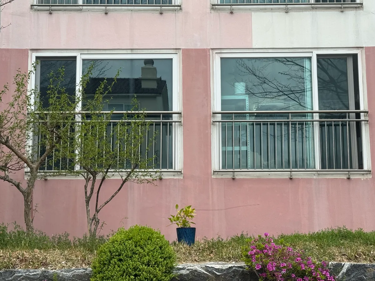 이미지 5