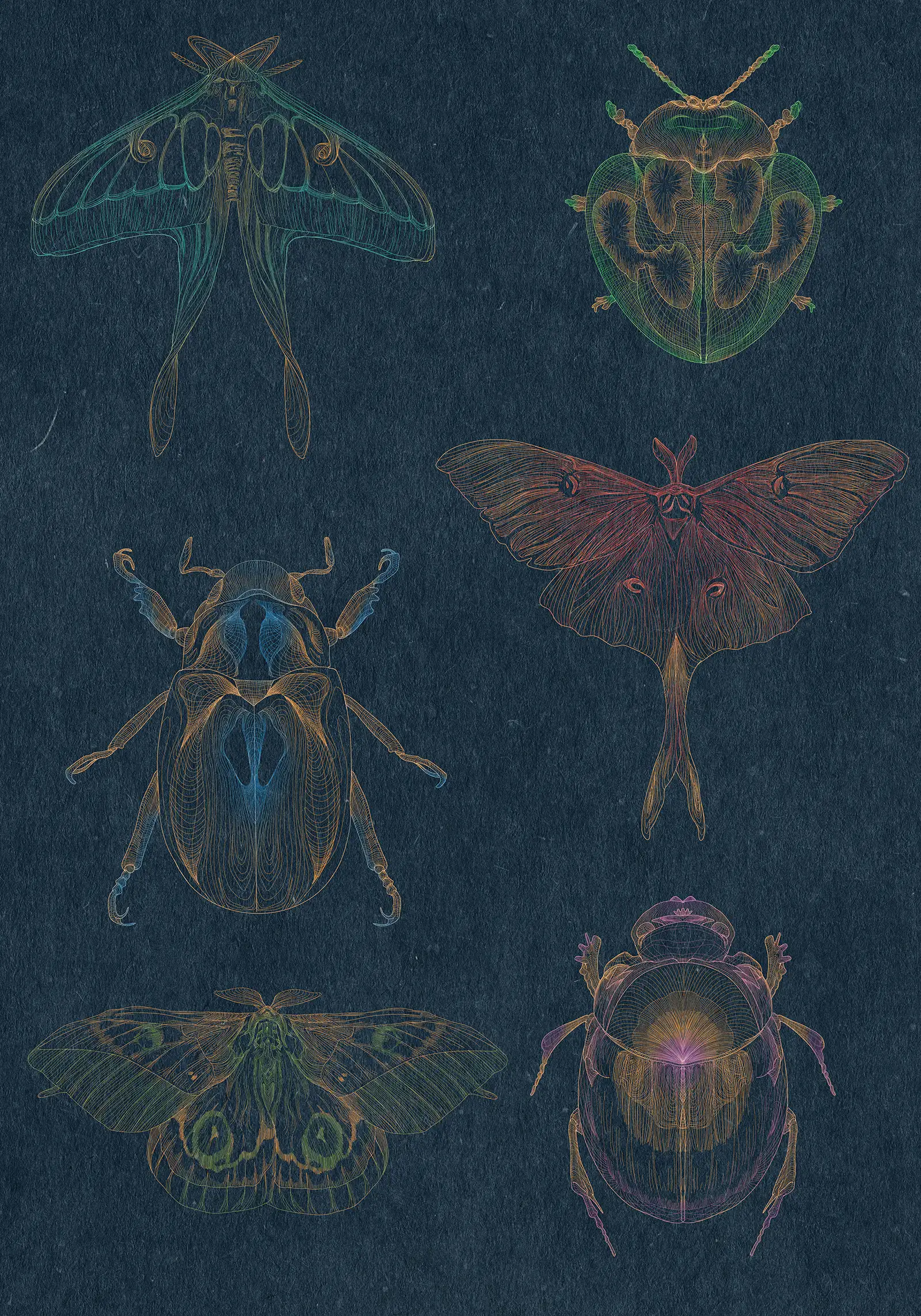 포트폴리오 이미지