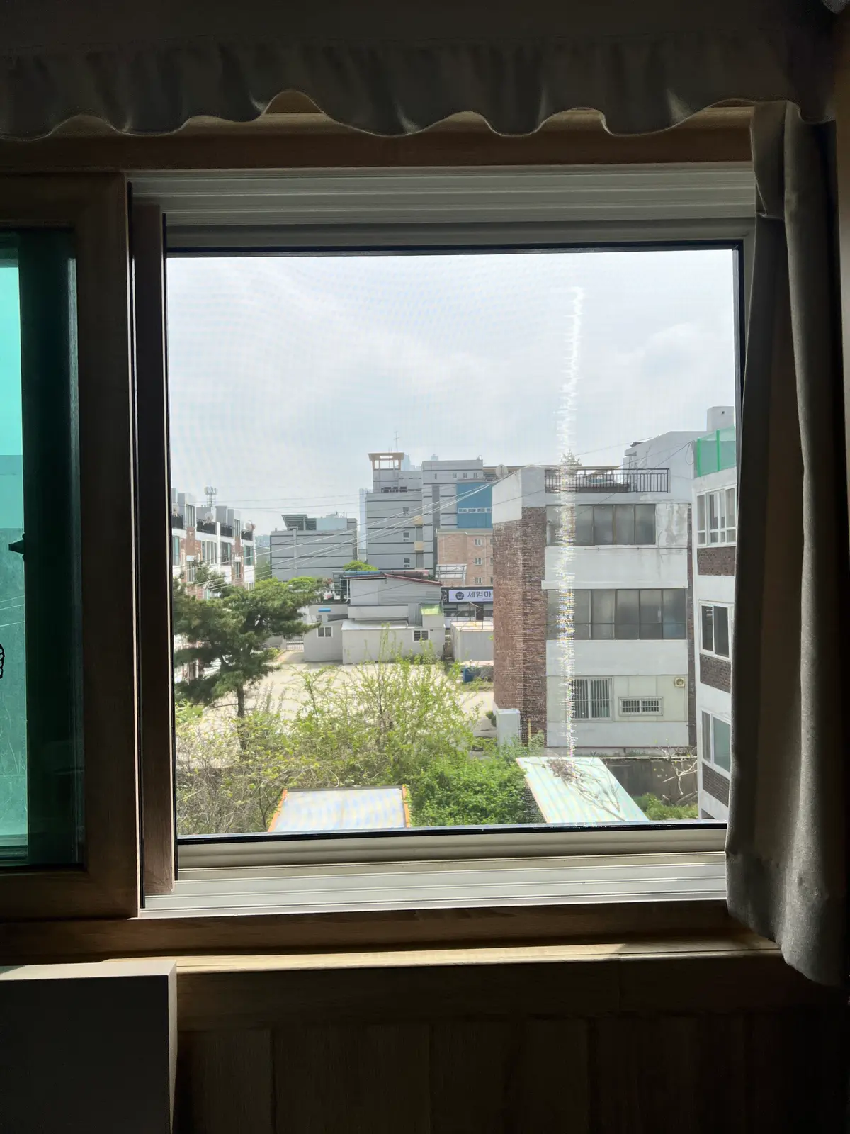 이미지 11