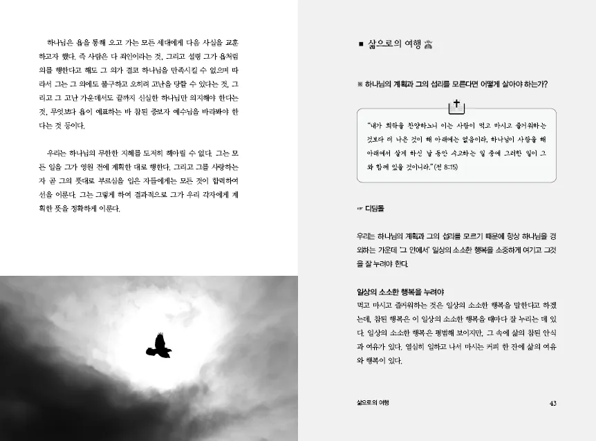 이미지 6