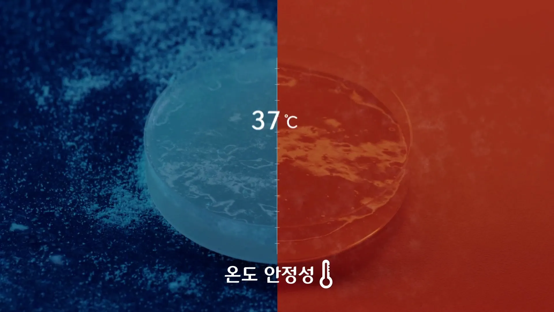 이미지 11