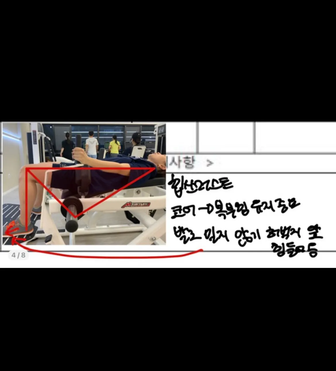 이미지 5