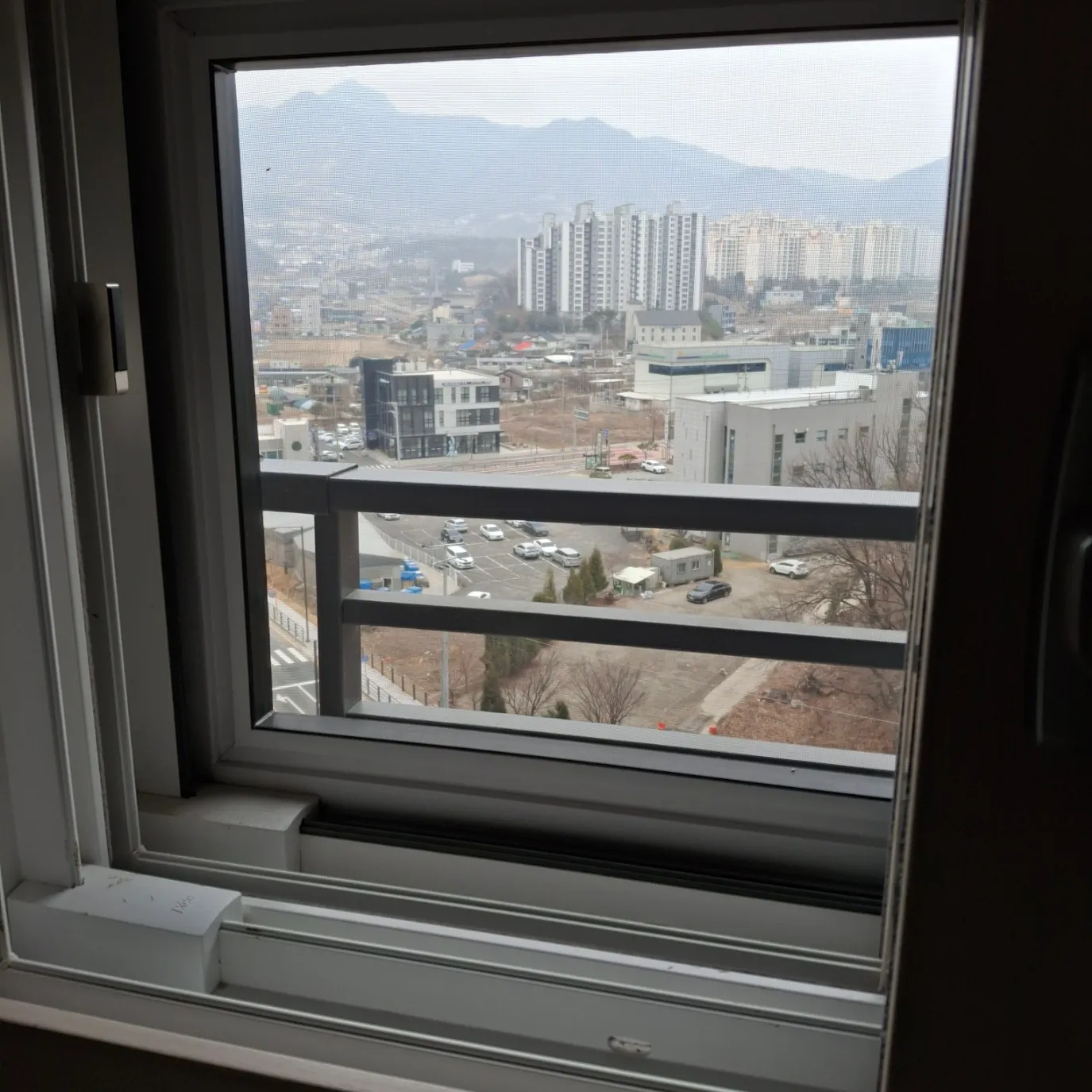 이미지 11