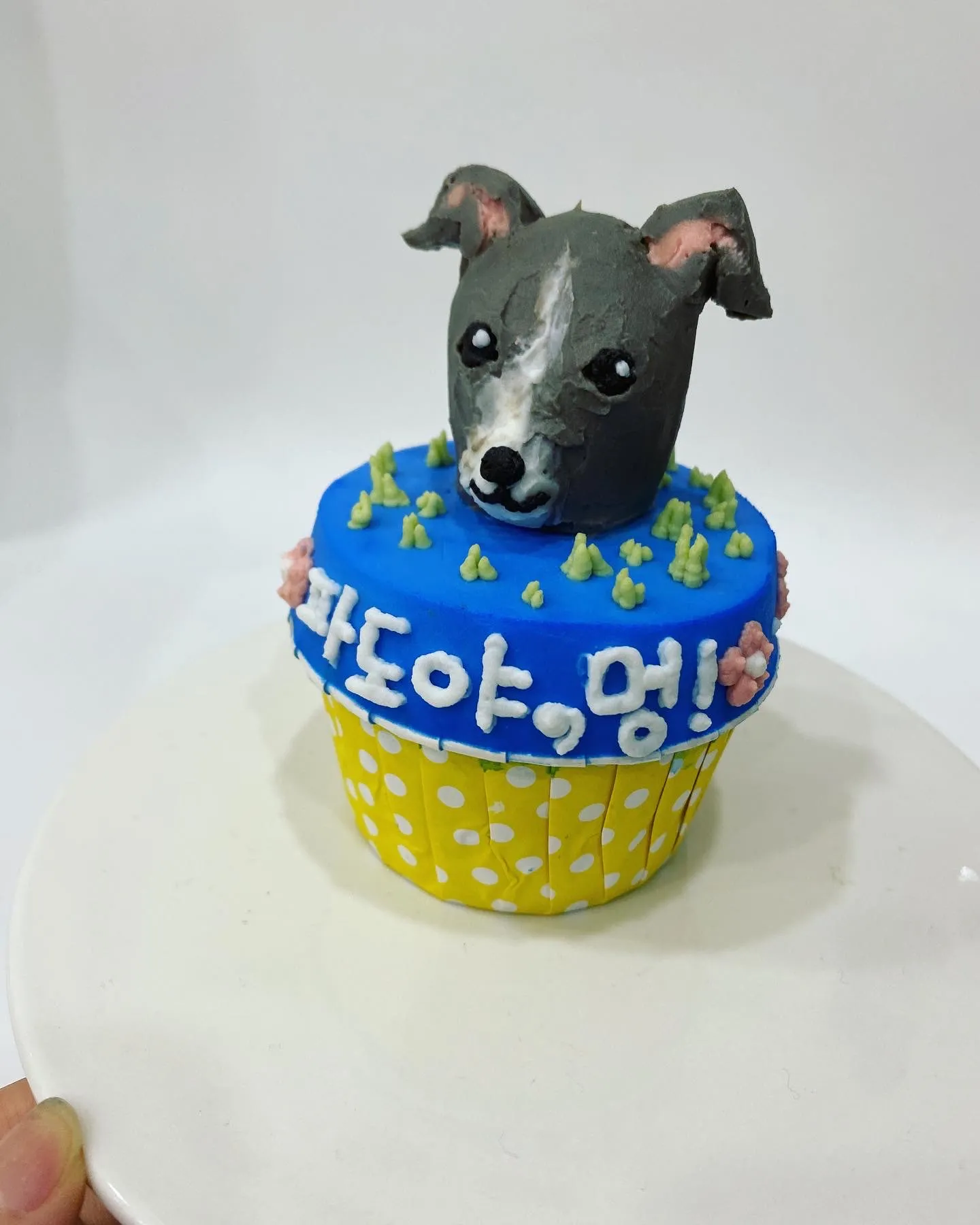 이미지 5