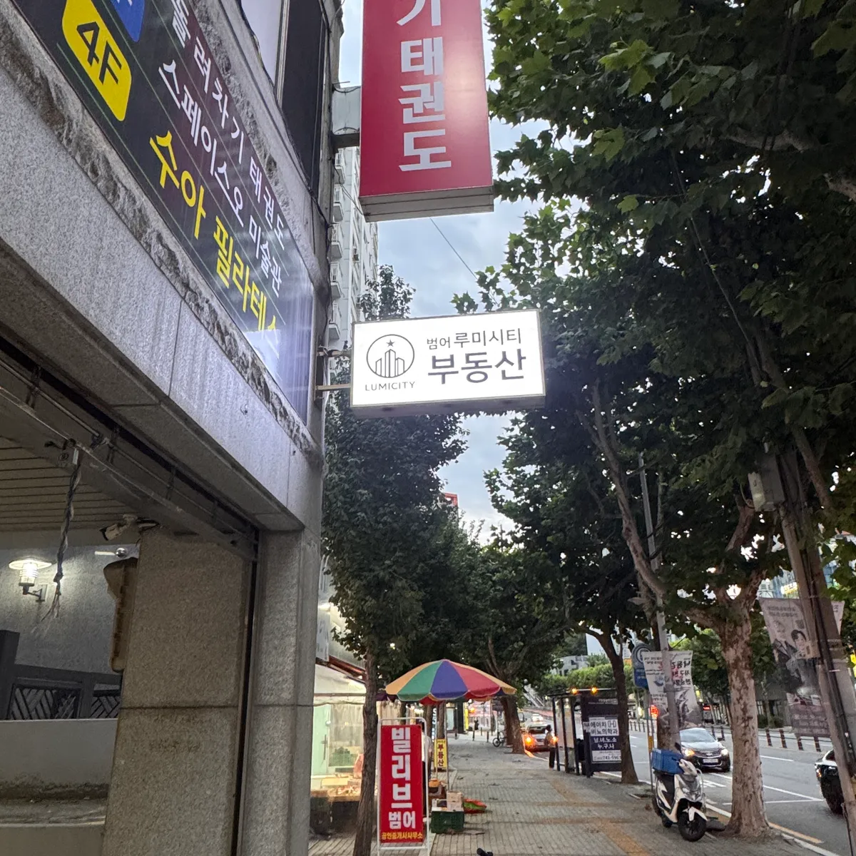 이미지 6