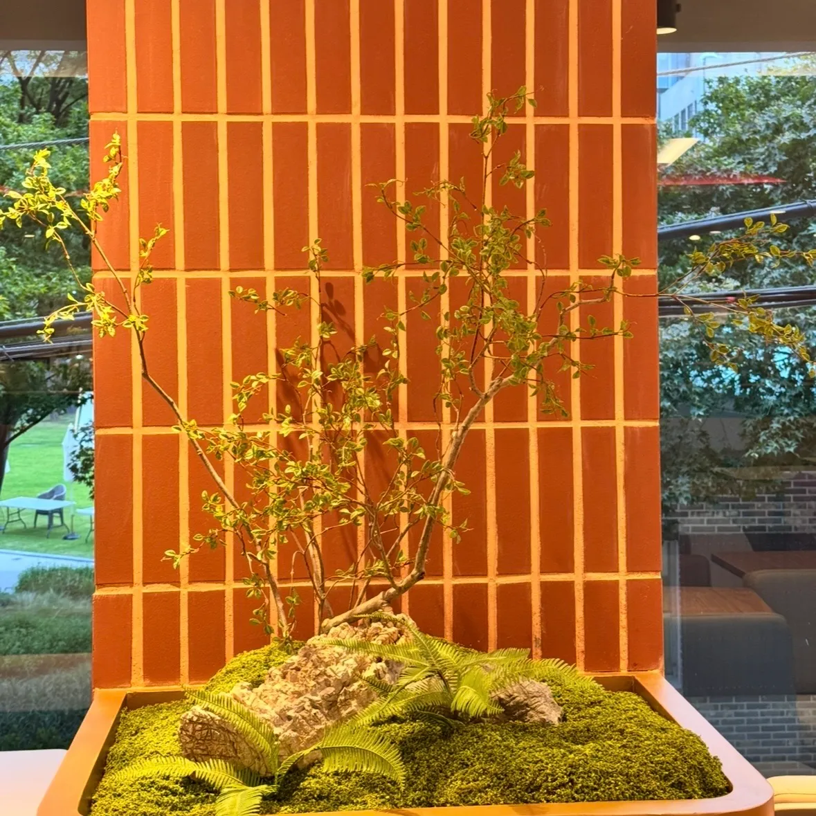 이미지 5