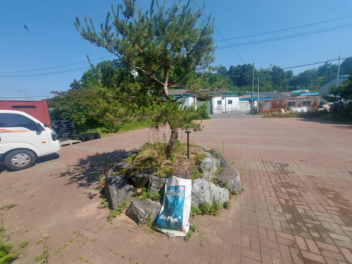이미지 26