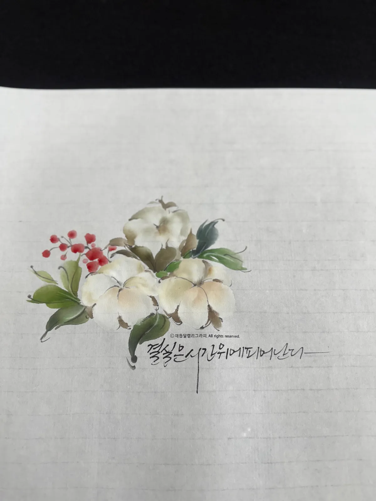 이미지 12