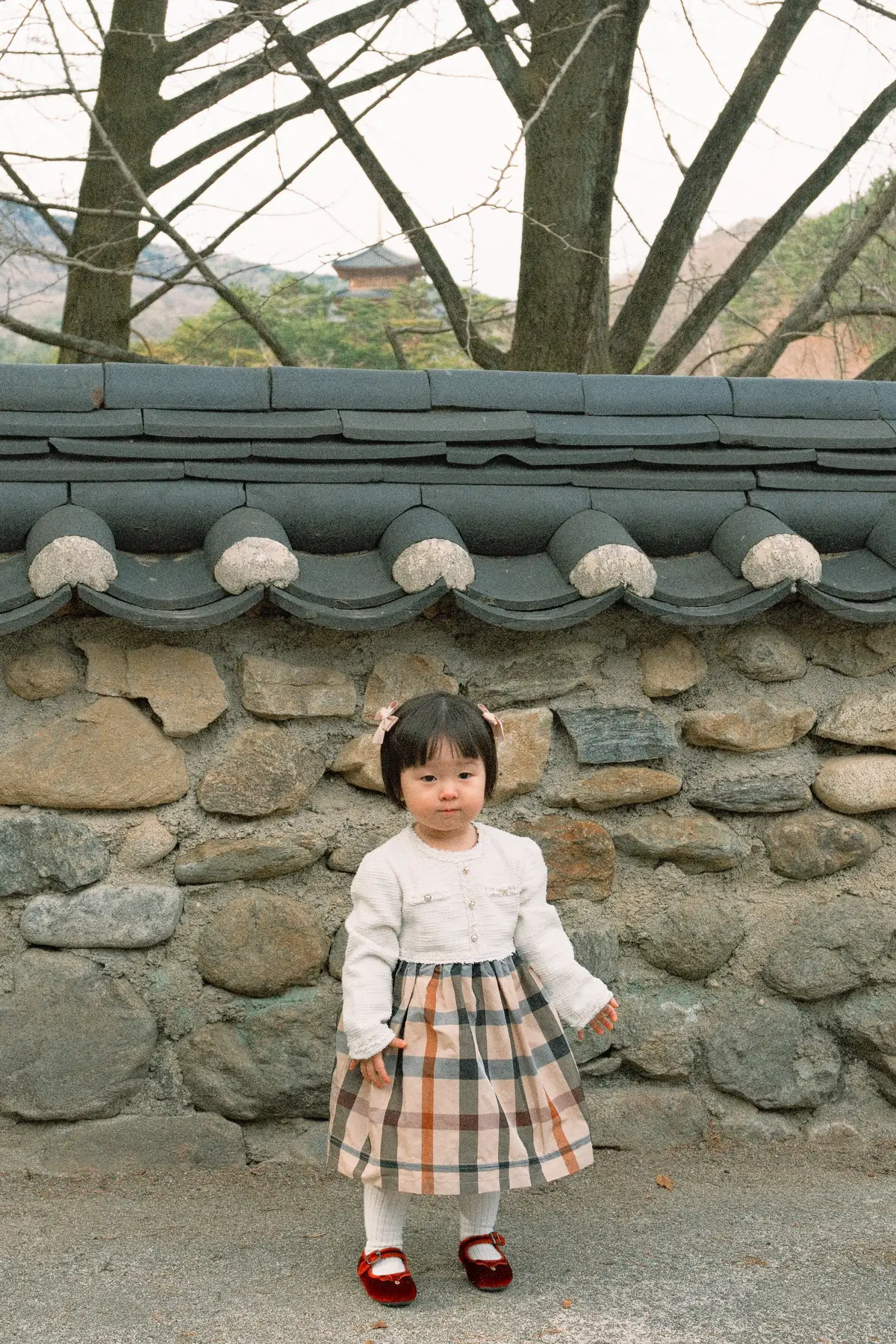 이미지 12