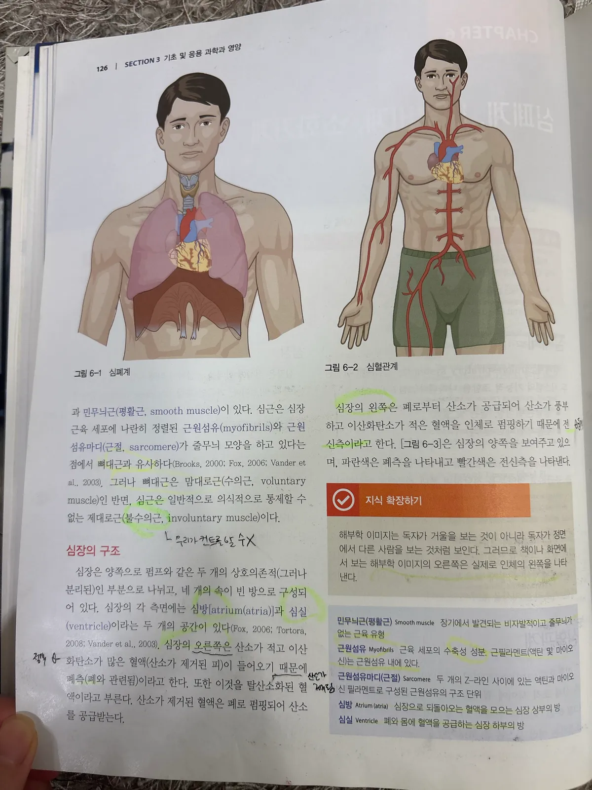 이미지 4