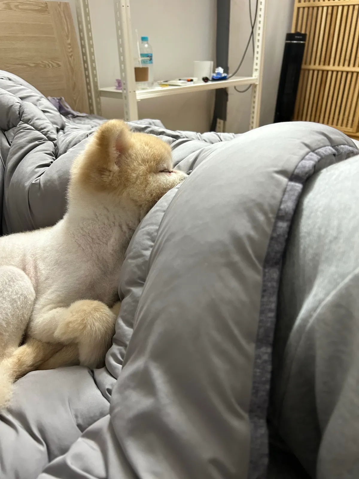 이미지 10