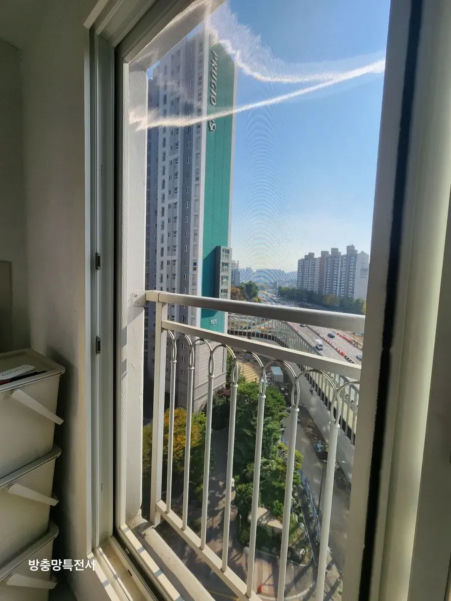 이미지 6