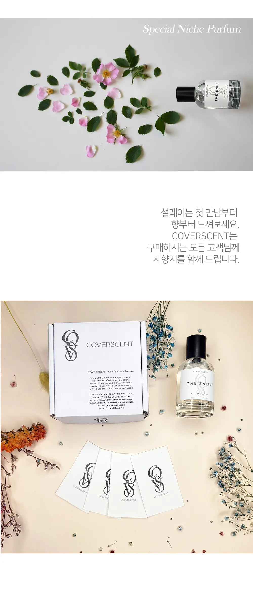 이미지 5