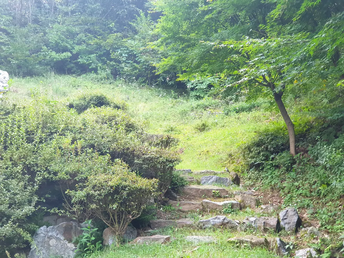 이미지 3