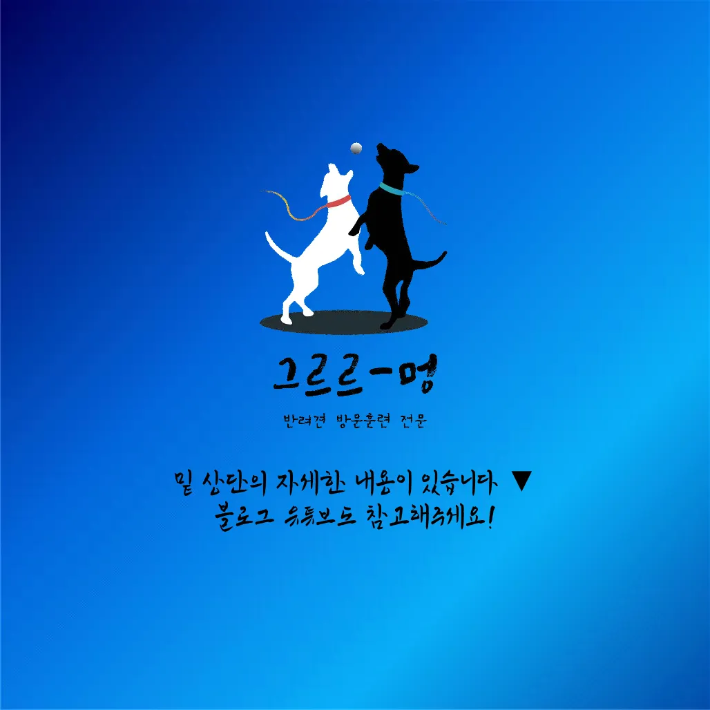 이미지 14
