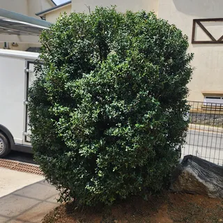 25년 04월 21일 아산시 둔포면 전원주택 작업