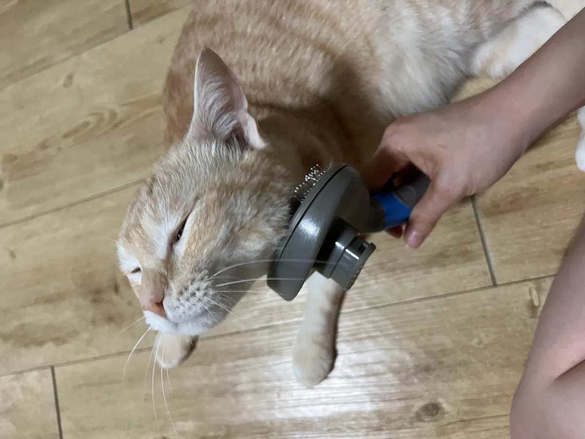 이미지 8
