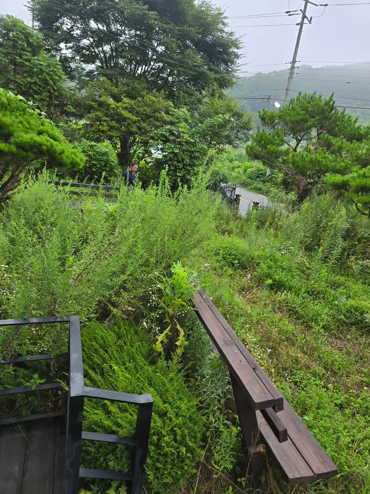이미지 4