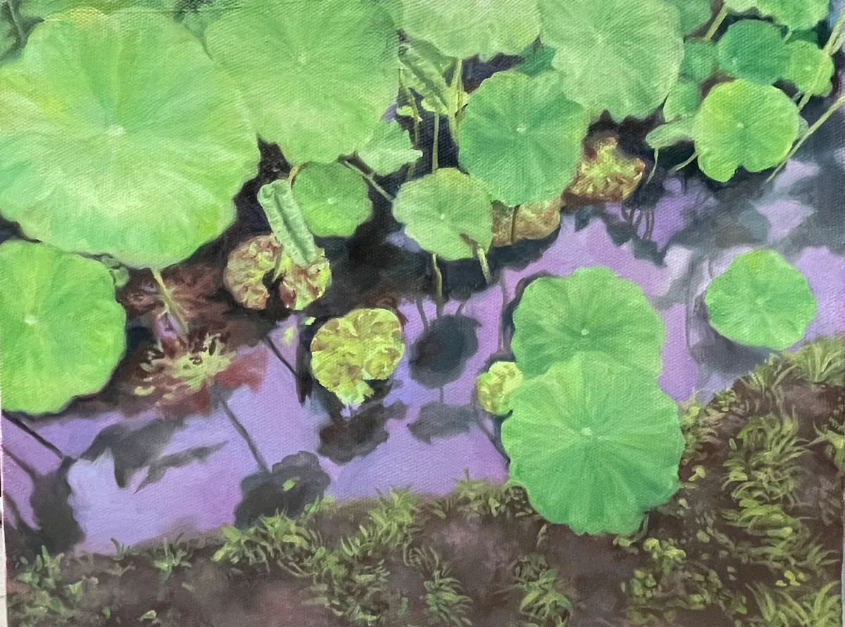 이미지 4
