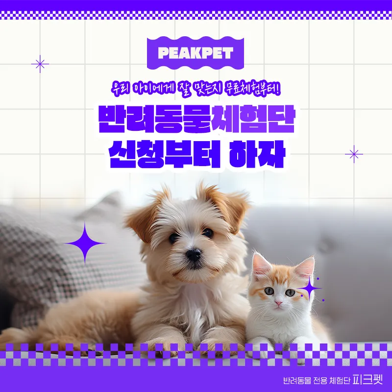 이미지 9